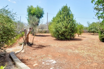 Villetta Pajara a Lido Marini con giardino 