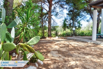 Villette vista mare Lido Marini (Villette Naturaleza)